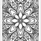 
A detailed black-and-white mandala design with intricate patterns of petals, leaves, and geometric shapes radiating symmetrically from a circular center. The design is framed by a bold rectangular border, emphasizing the symmetry and complexity of the artwork, perfect for coloring enthusiasts.